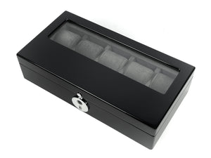 10 Biometric Watch Box (Window)